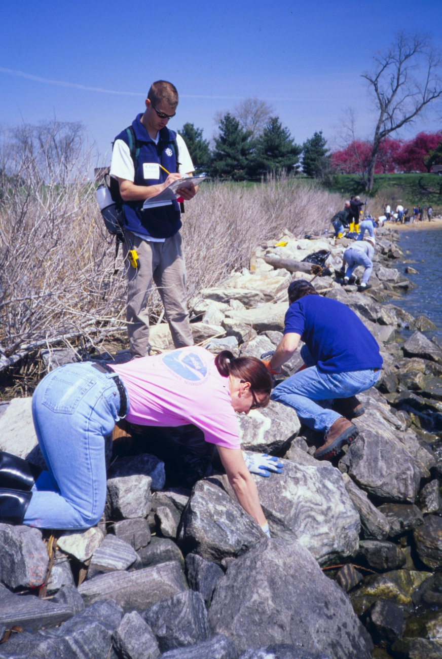 Penny Dalton searches for trash during the collection phase of the restoration