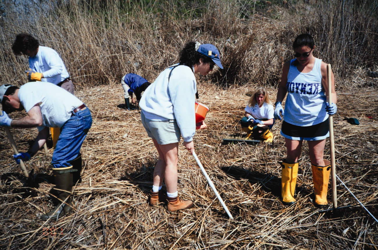A group of volunteers plant at the Ft