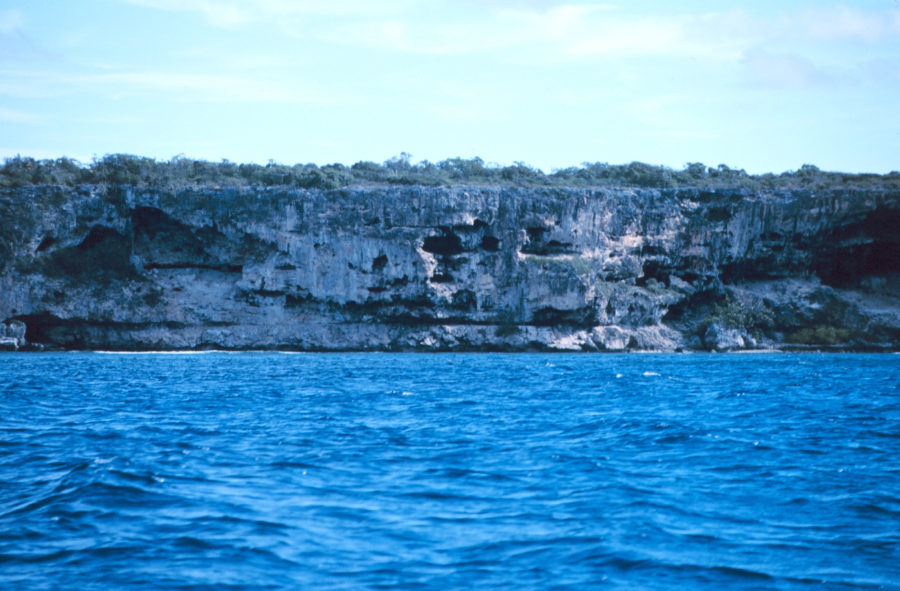 The craggy face of a cliff at Mona Island