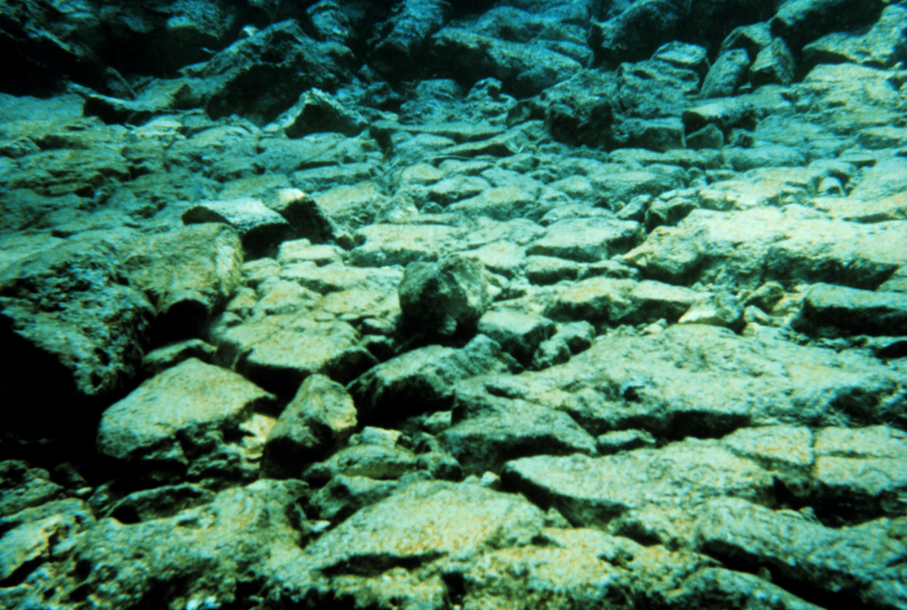 This image shows the reef framework crushed at ground zero impact