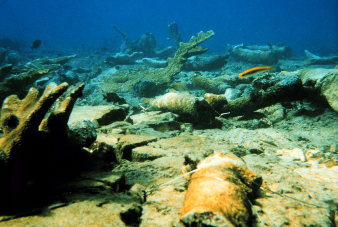 Numerous fragments of Elkhorn coral, Acropora palmatta, lie on the reef damagedby the grounding