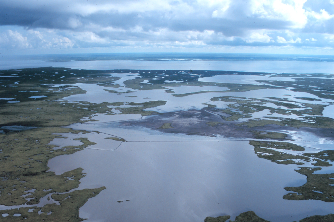 An aerial view of the created wetlands in the containment area