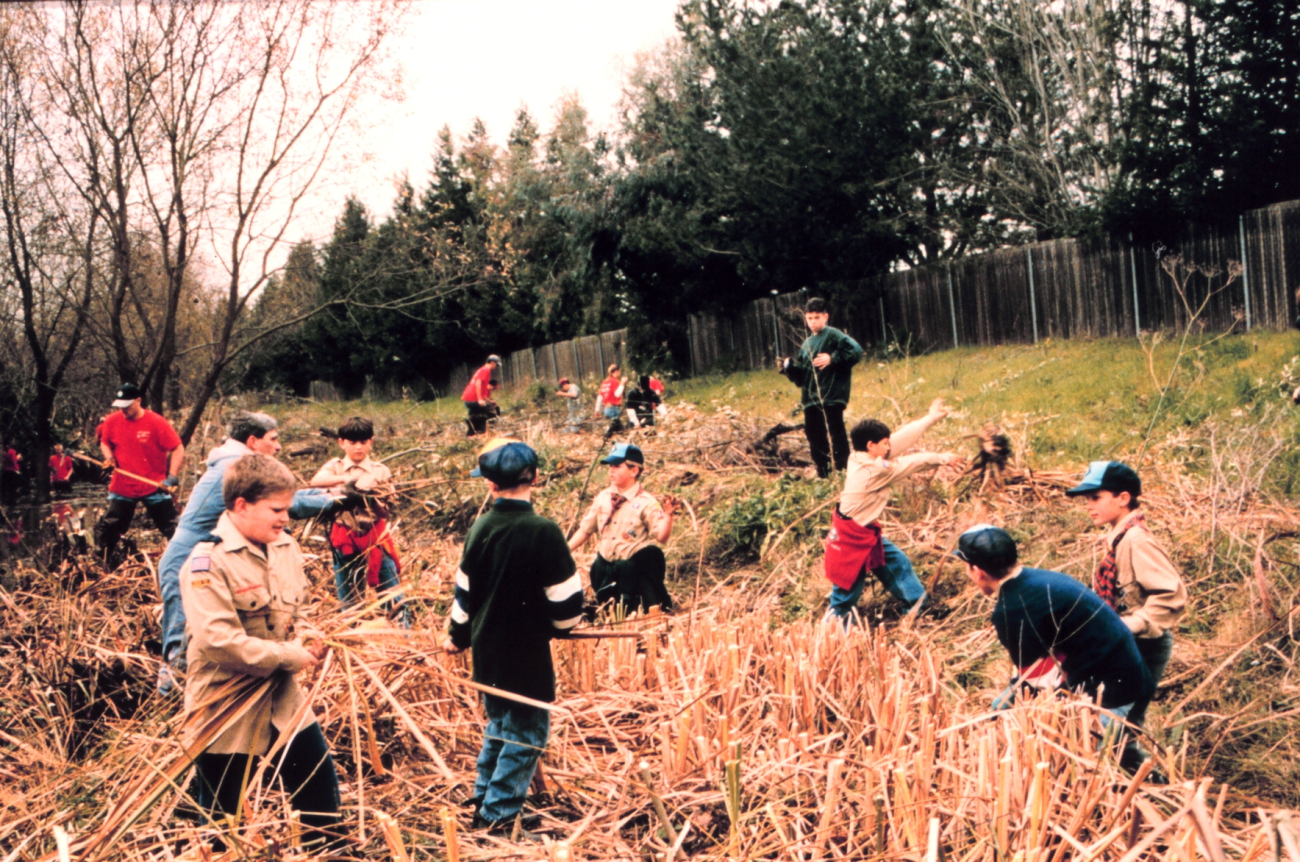 Volunteers plant naturally occurring vegetation at the stream bed