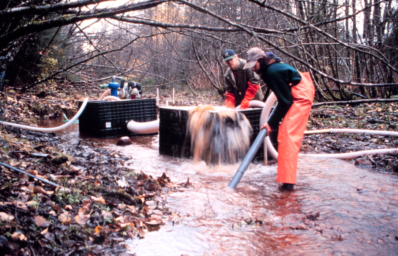 Cleaning gravel from the streambed using a suction pump