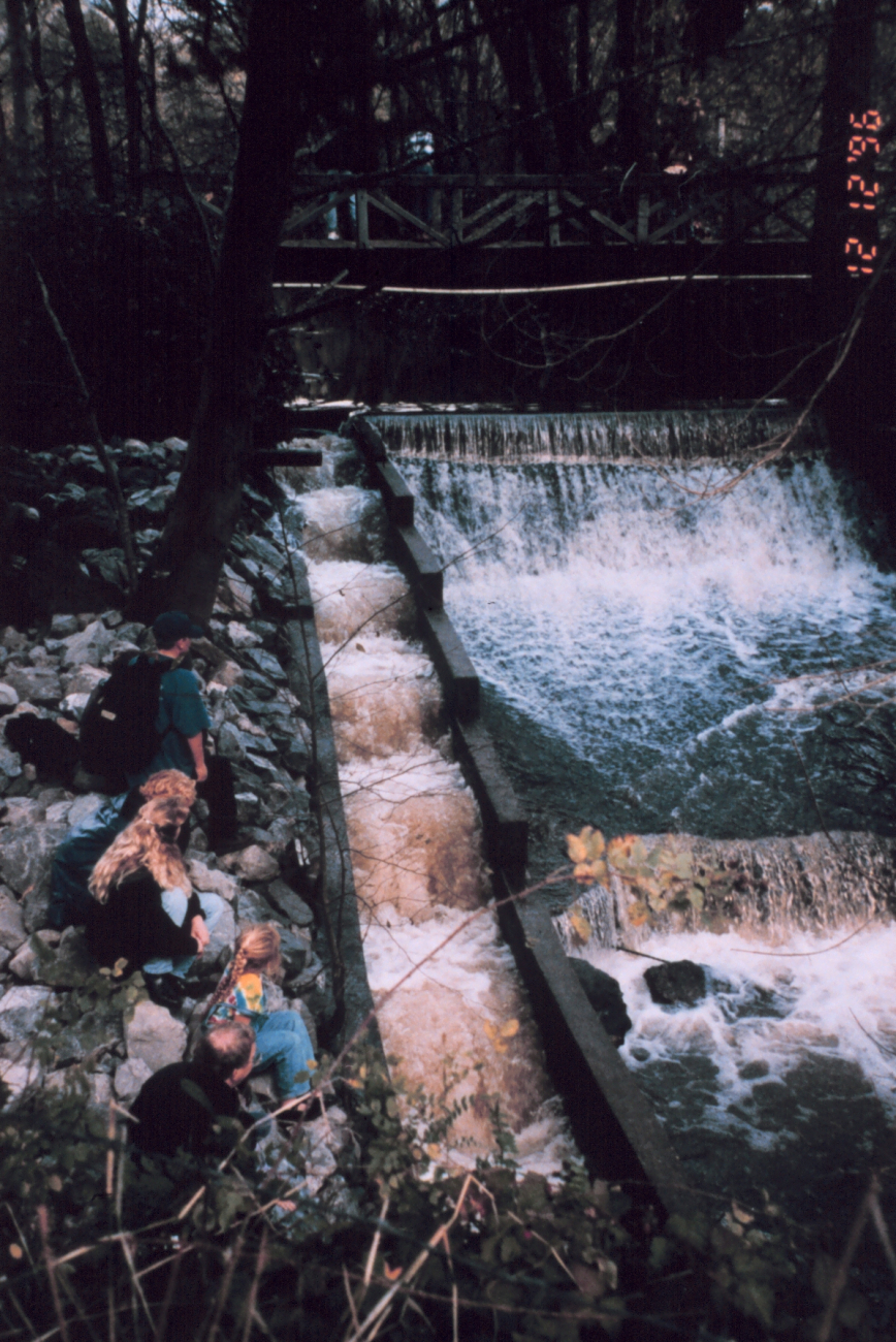Roy's Dam is in Lagunitas Creek, CA and suffered from a non-functioningfish ladder