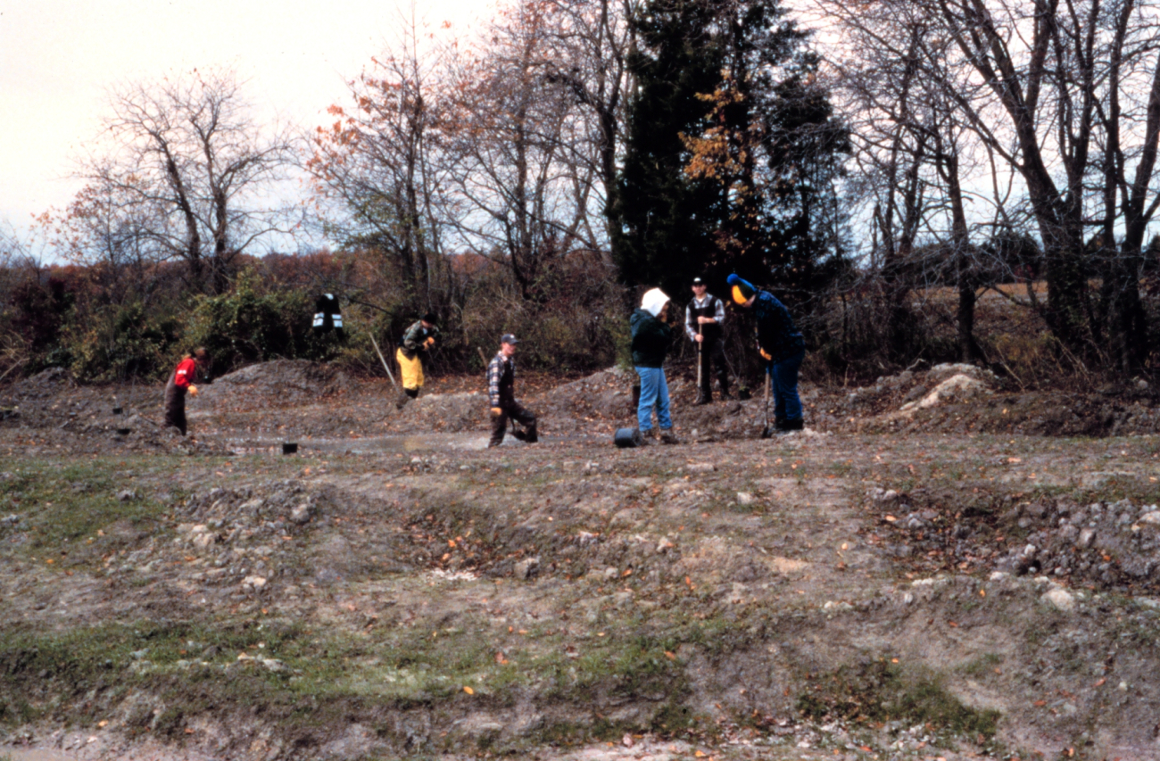 Volunteers along the tree margin work to stabilize and replant the remnant sideof the former ditch