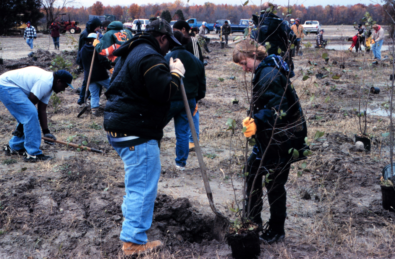 Volunteers plant woody shrub wetland species in the restored flood plain