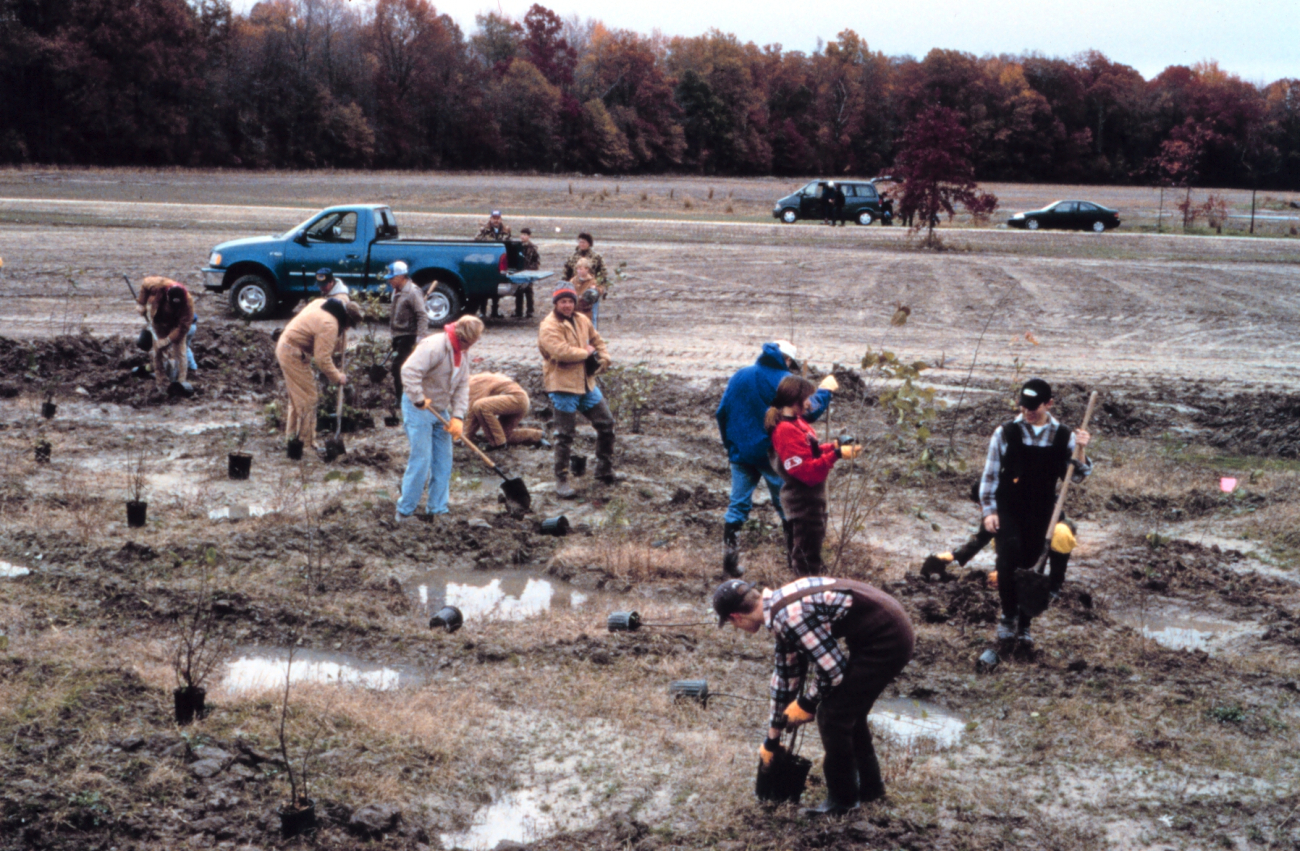 Workers plant shrub species in the emergent wetland area, note the still activefarm in the background
