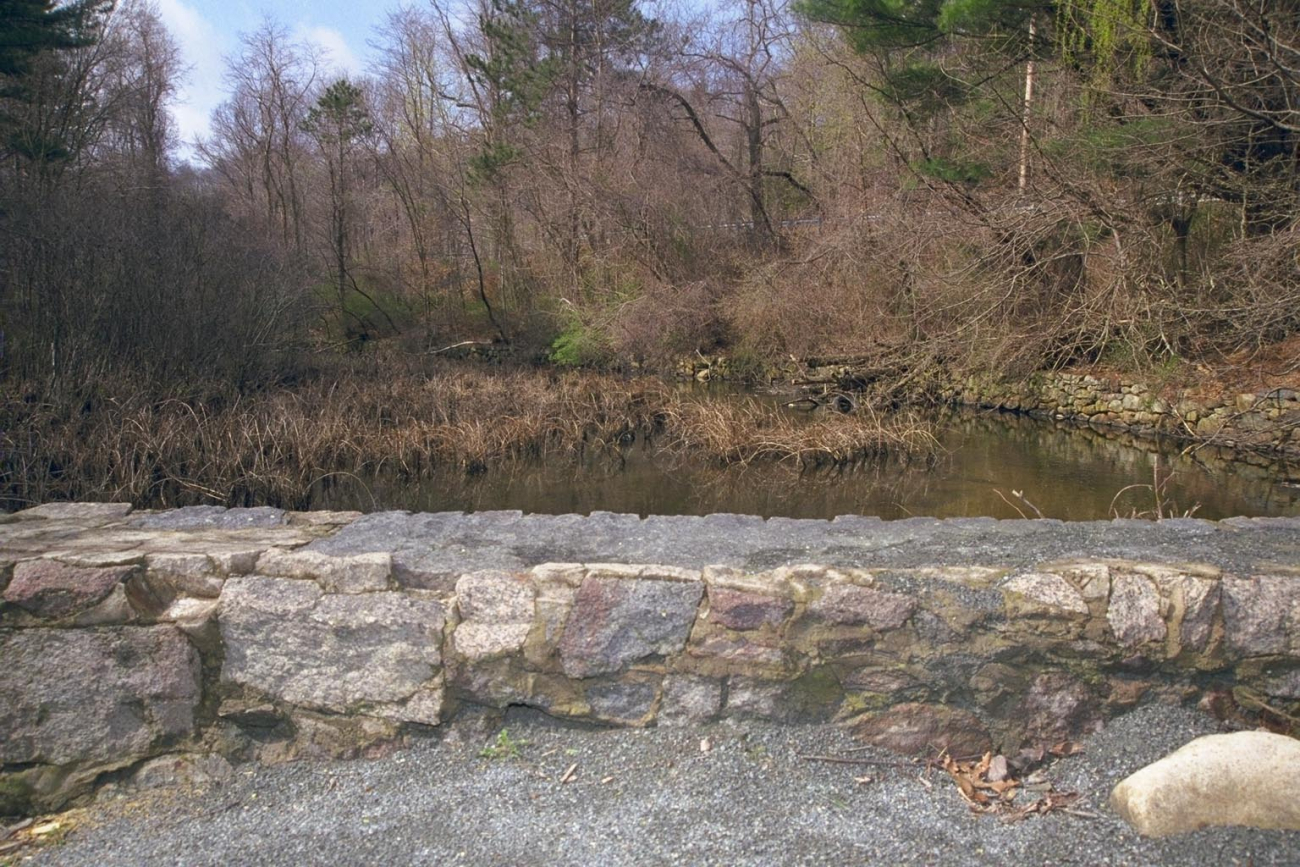 The pond above the dam at the Town Brook dam removal site