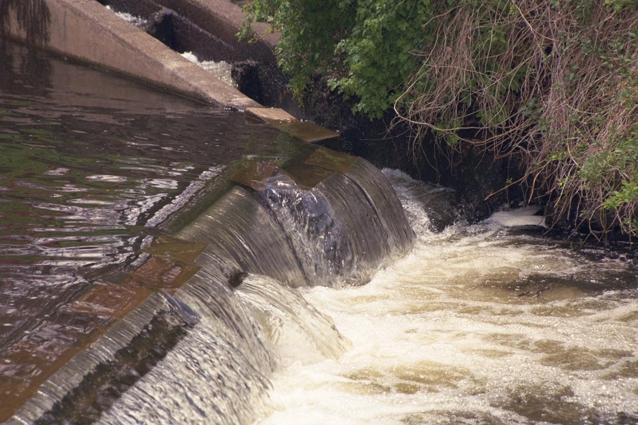 A view of the dam during the spring migration at a heavy flow