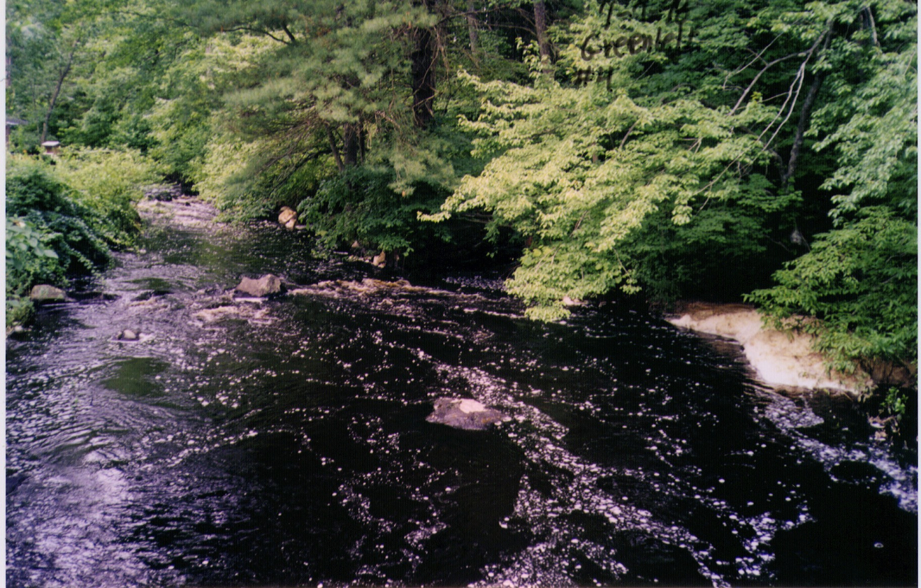 A view of Parker River looking downstream of the restoration site beforerestoration