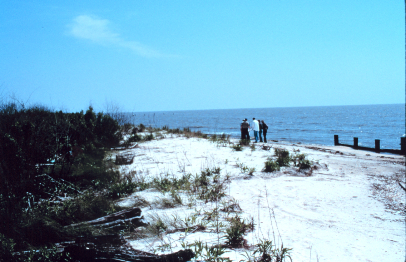 Area 2; southeast view of the bulkhead, beach and dunes