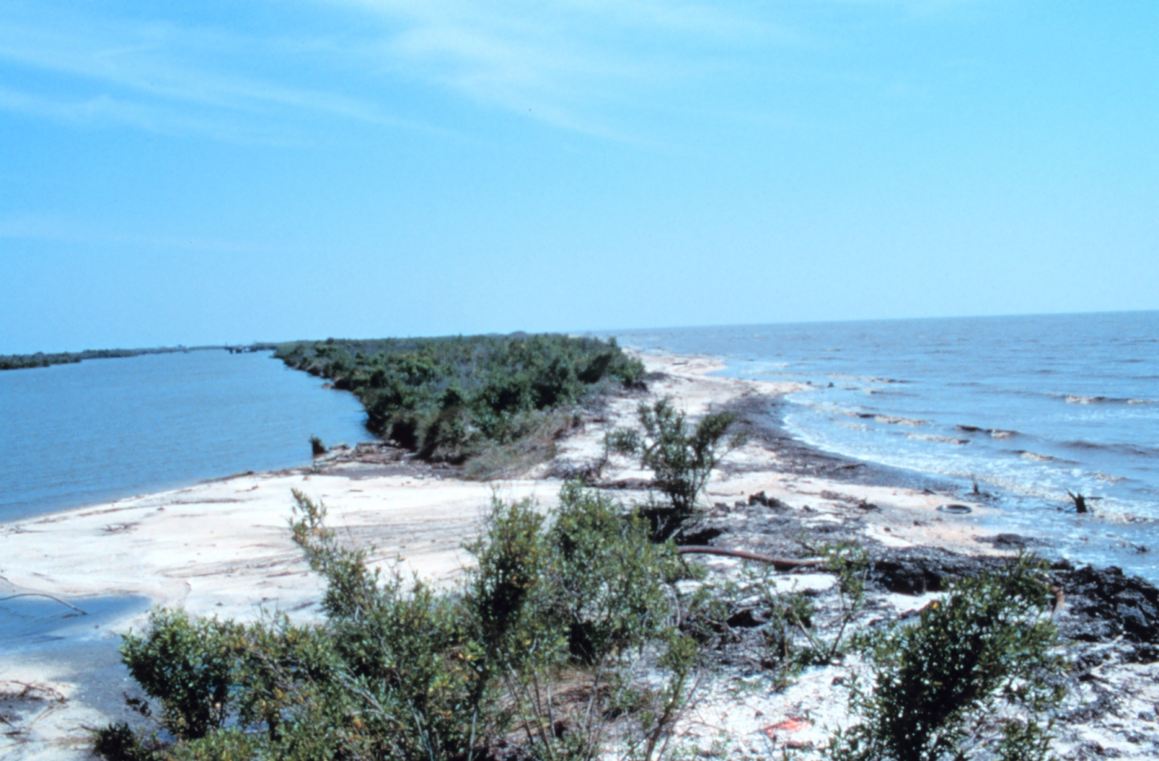 Area 1; a southeast view of the narrowest section of beach that shows evidenceof overwashing