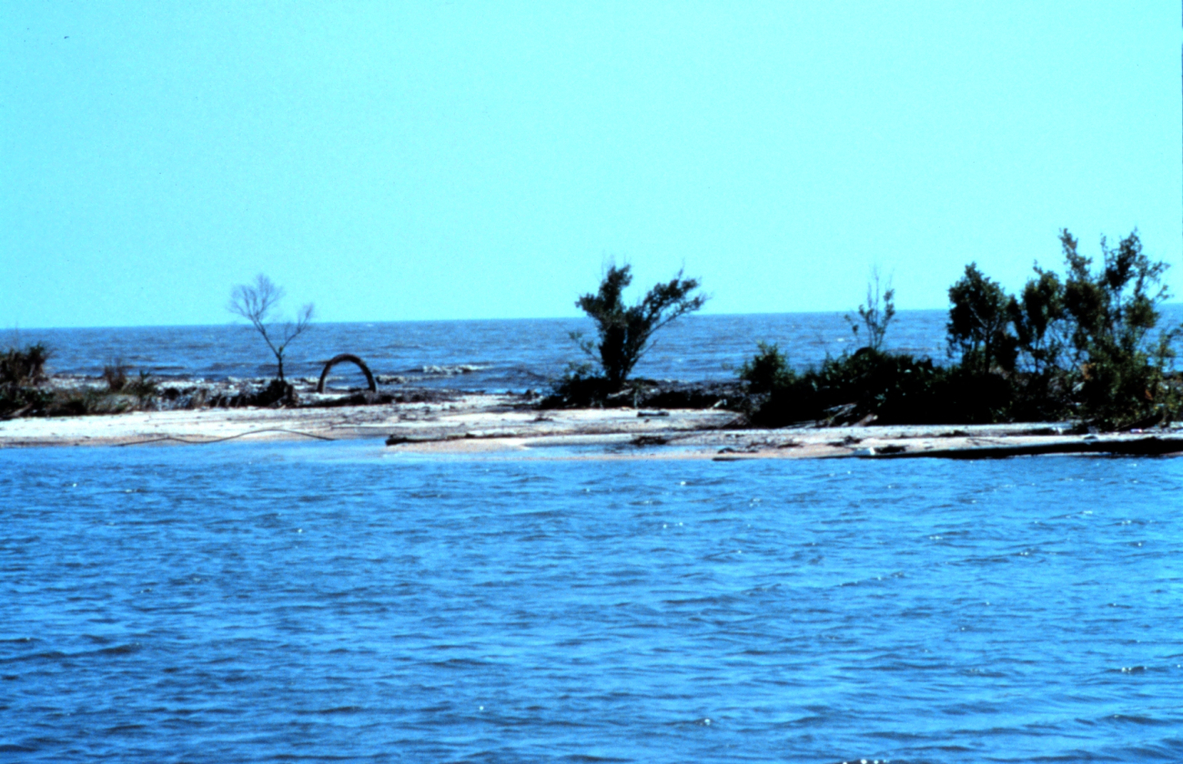 Area 1, a south southwest view from Mobile Canal looking across the narrowestbeach section with the Gulf of Mexico in the background
