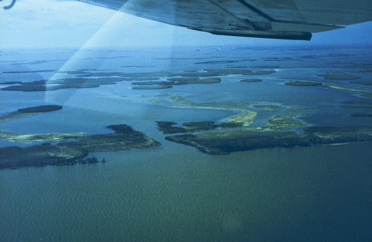 The first in a series of aerial images of Dixon Bay