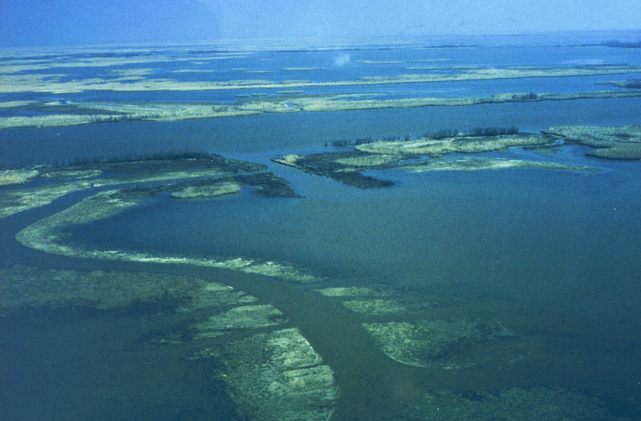 The third in a series of aerial images of Dixon Bay