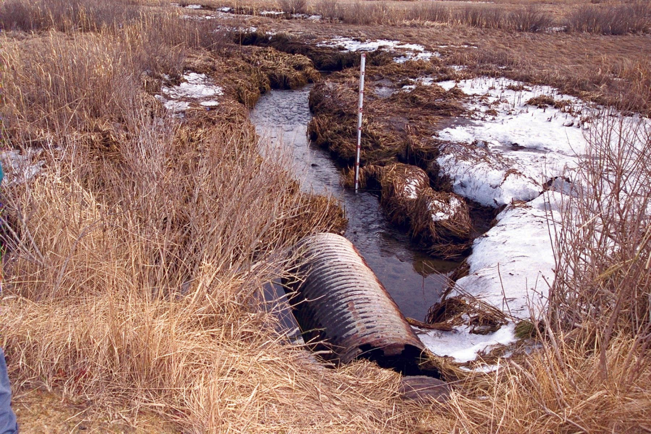 A culvert, at Quivett Creek,  that needs to be enlarged to enhance water flow