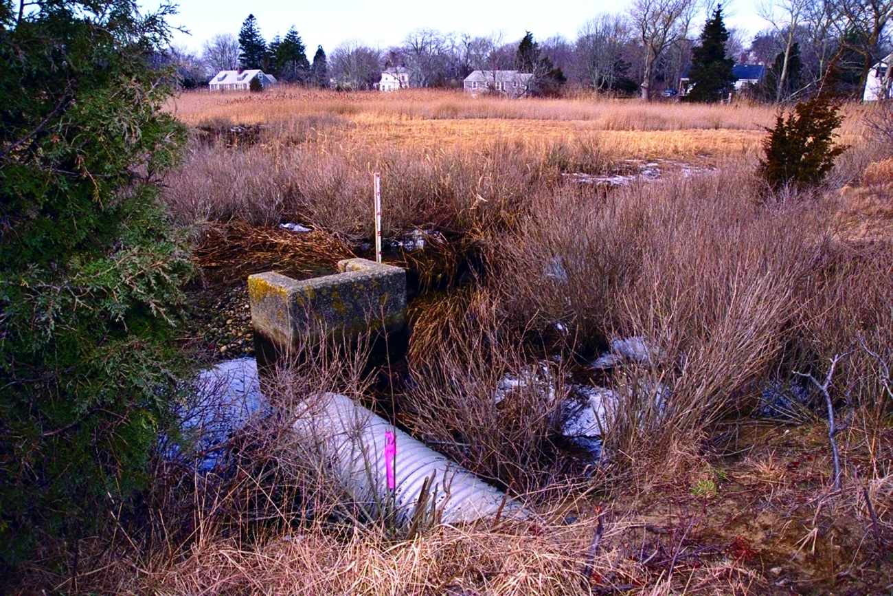 An overview of the marsh and the culvert that restricts water from flowing fromQuivett Creek into the marsh