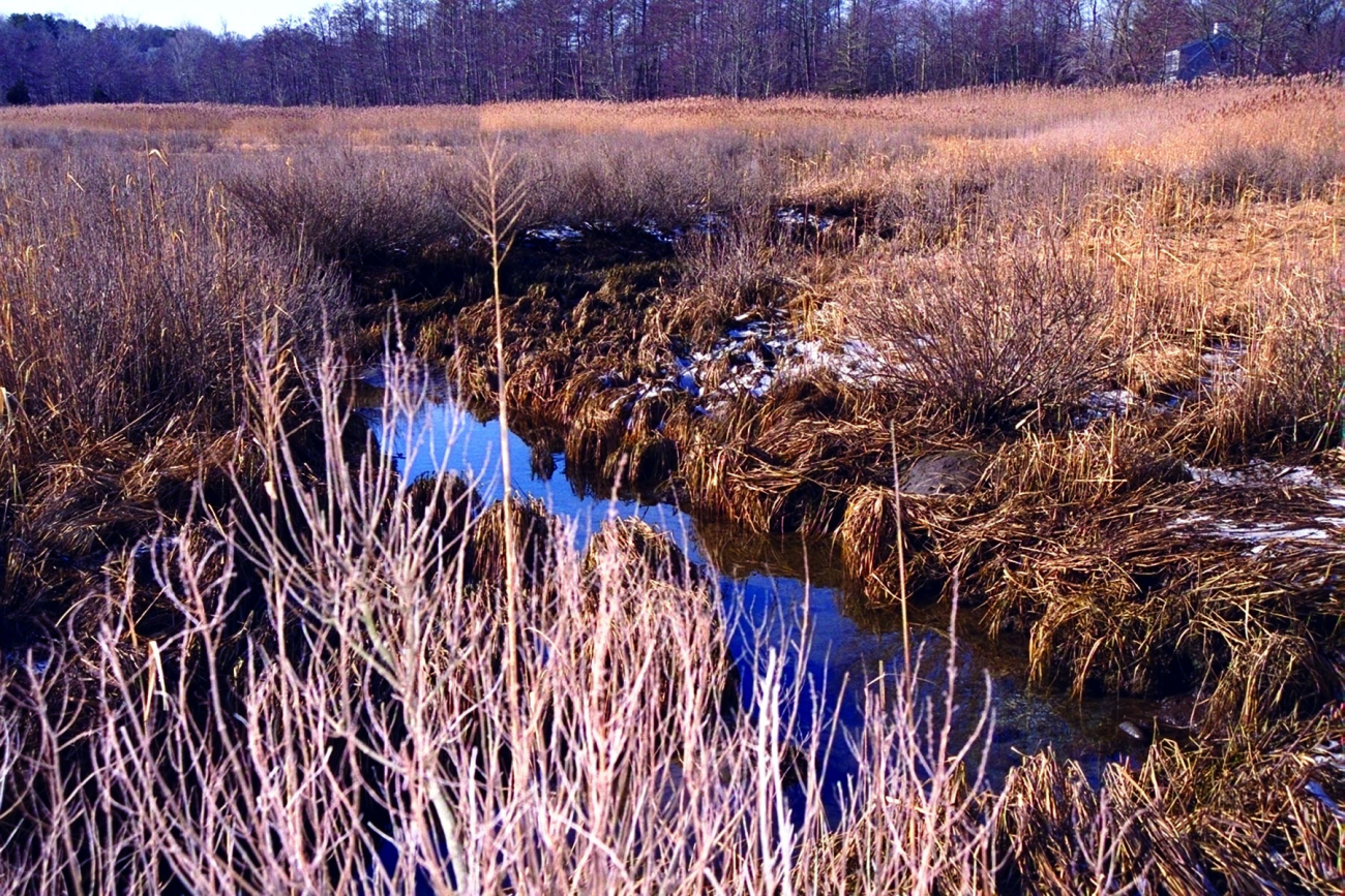 A winter view of Quivett Creek, on the Brewster/Dennis line