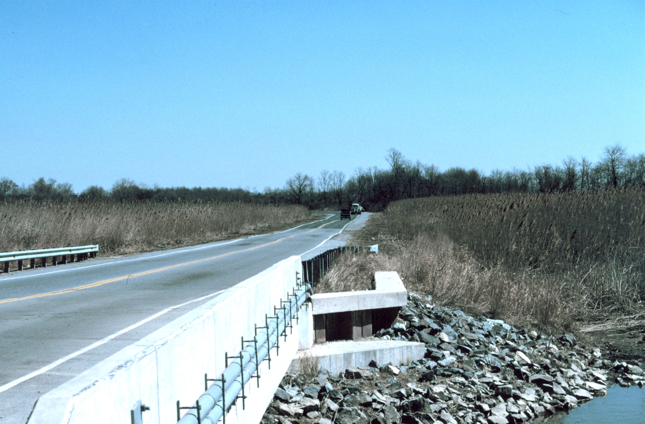 The Route 9 Bridge that crosses Army Creek just upstream from the tide gate