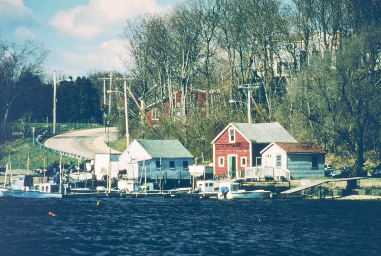 A view of the facility at Greenwich Bay where the quahogs were transferred andweighed before being moved to the spawner sanctuaries in the outer portions ofSakonnet River and Narragansett Bay