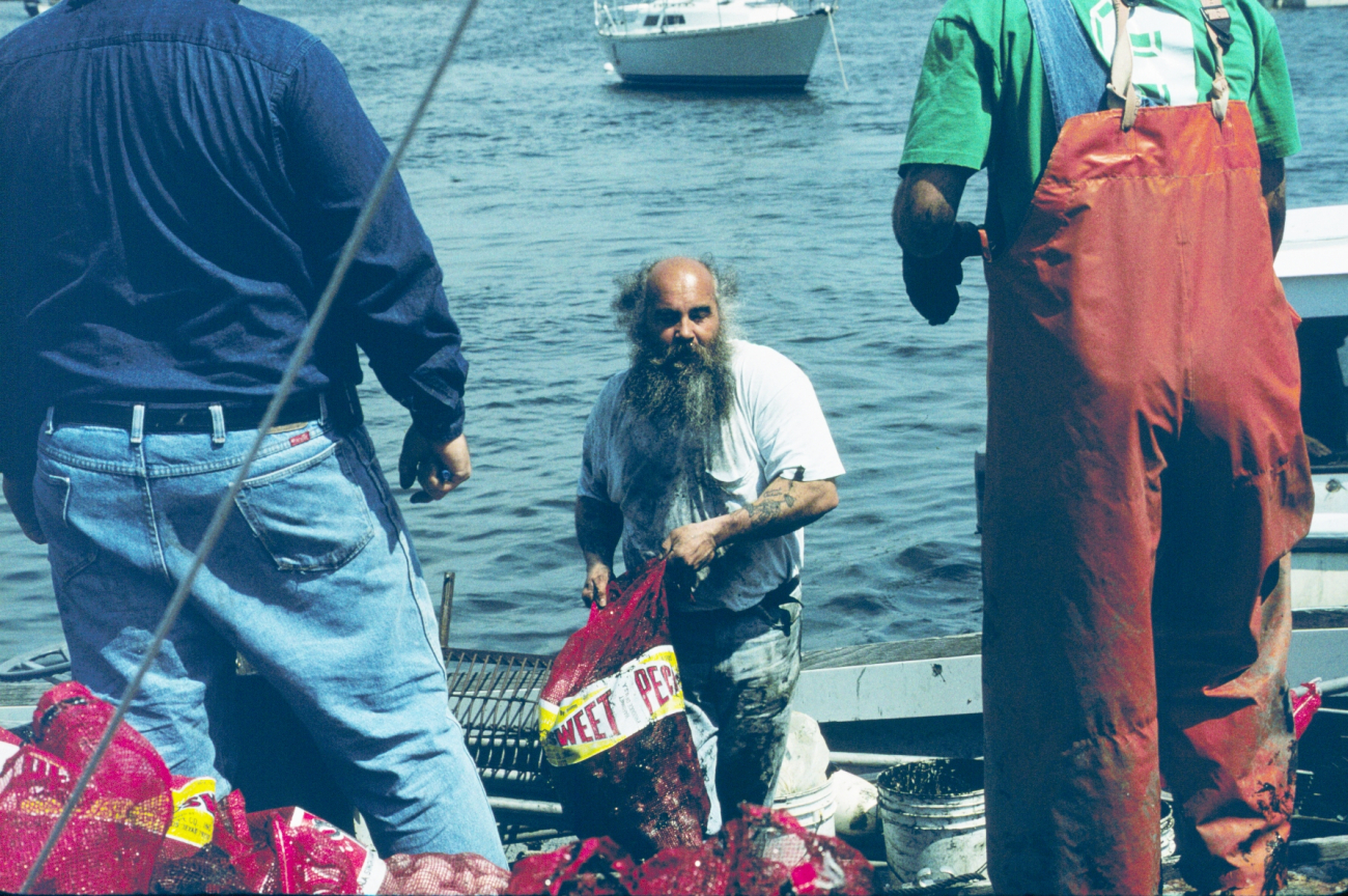 A local shellfisherman unloads his catch at the dock
