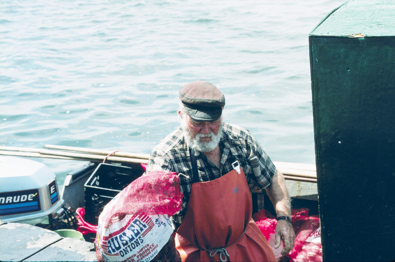 Another local shellfisherman, who relied on the tonging method of harvestunloads his catch