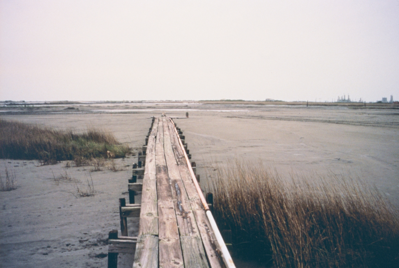 A walkway created to monitor the marsh platform