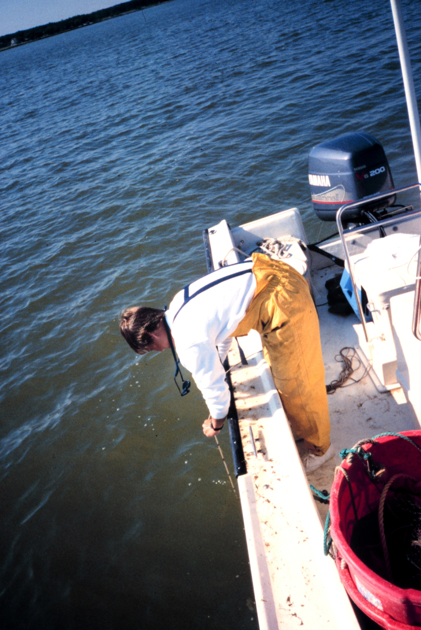 Trish Murphy, formerly of NOAA, takes a secchi depth reading to determine waterturbidity and how it relates to the ability of the fish to recognize thesampling gillnets