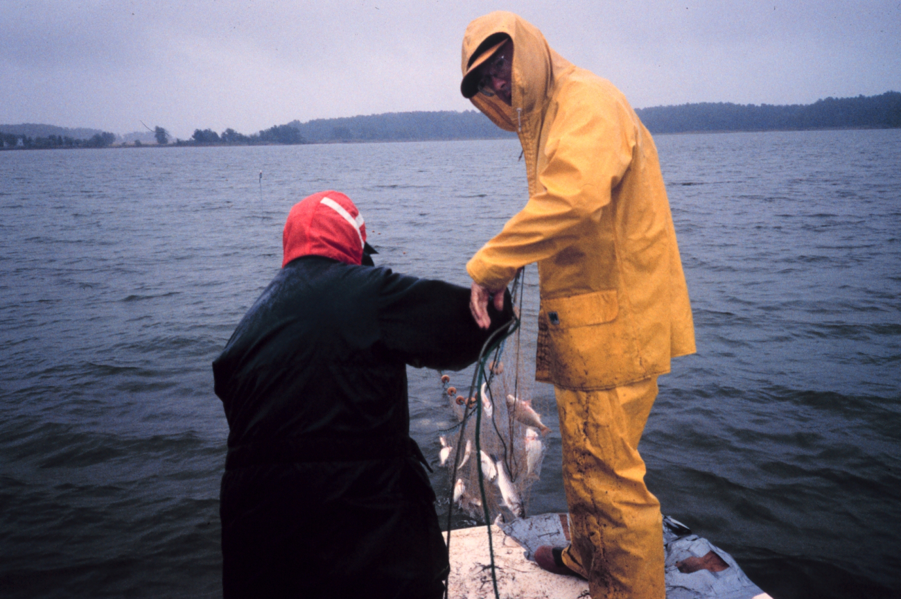 Dave Meyer collects gillnets