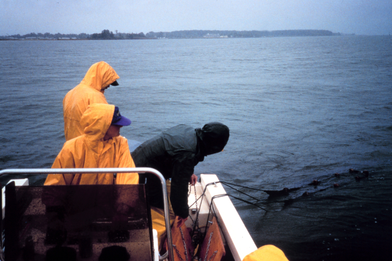 setting an otter trawl