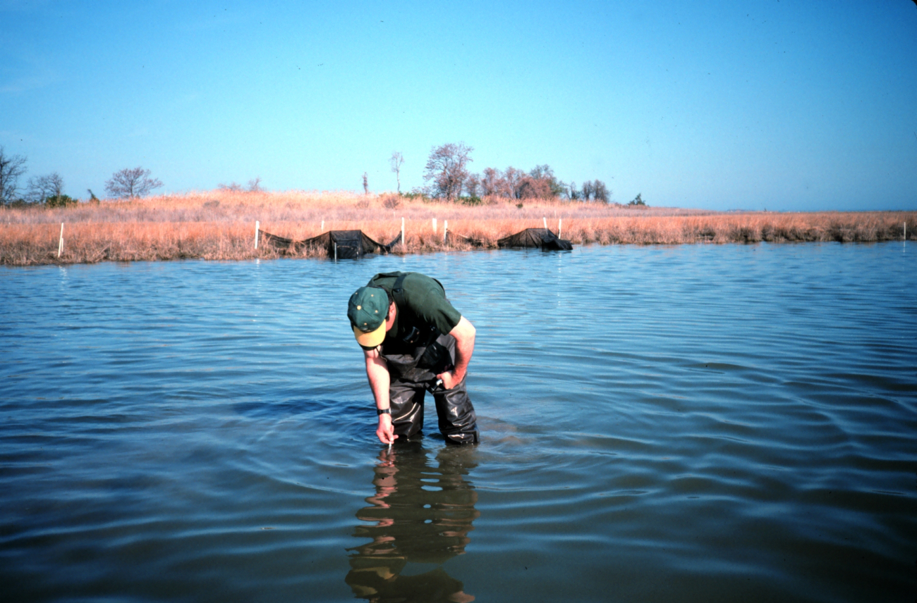 Dave Meyer taking environmental parameters and water temperature at  theBack Creek site