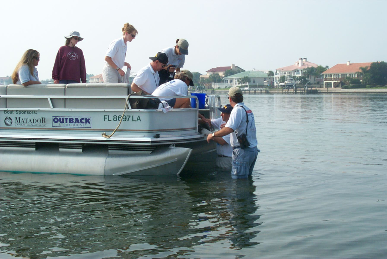 Volunteers rush to bring an injured bird to the boat that will transport thepelican to wildlife rehabilitators who will attempt to resuscitate the bird