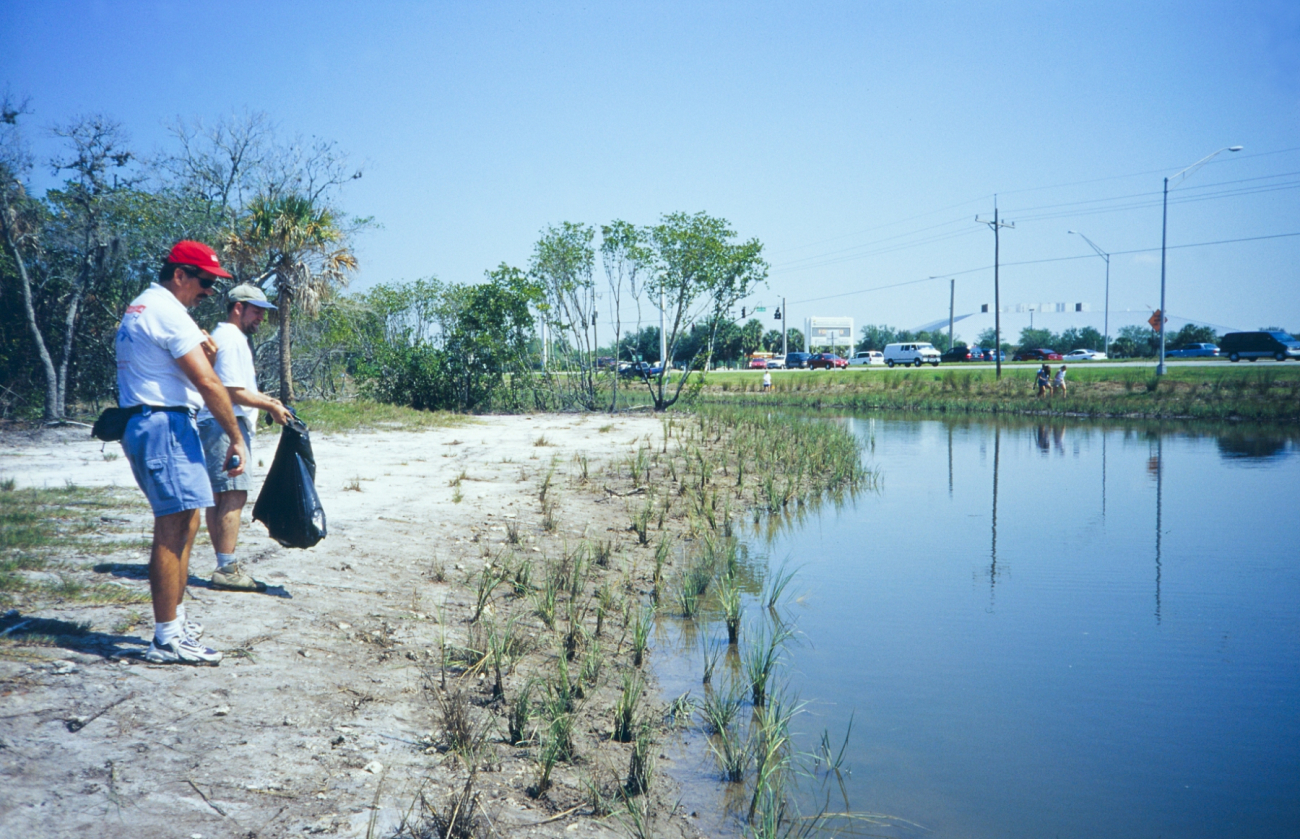 Tampa Baywatch and NOAA staff observe the progress at the restoration site