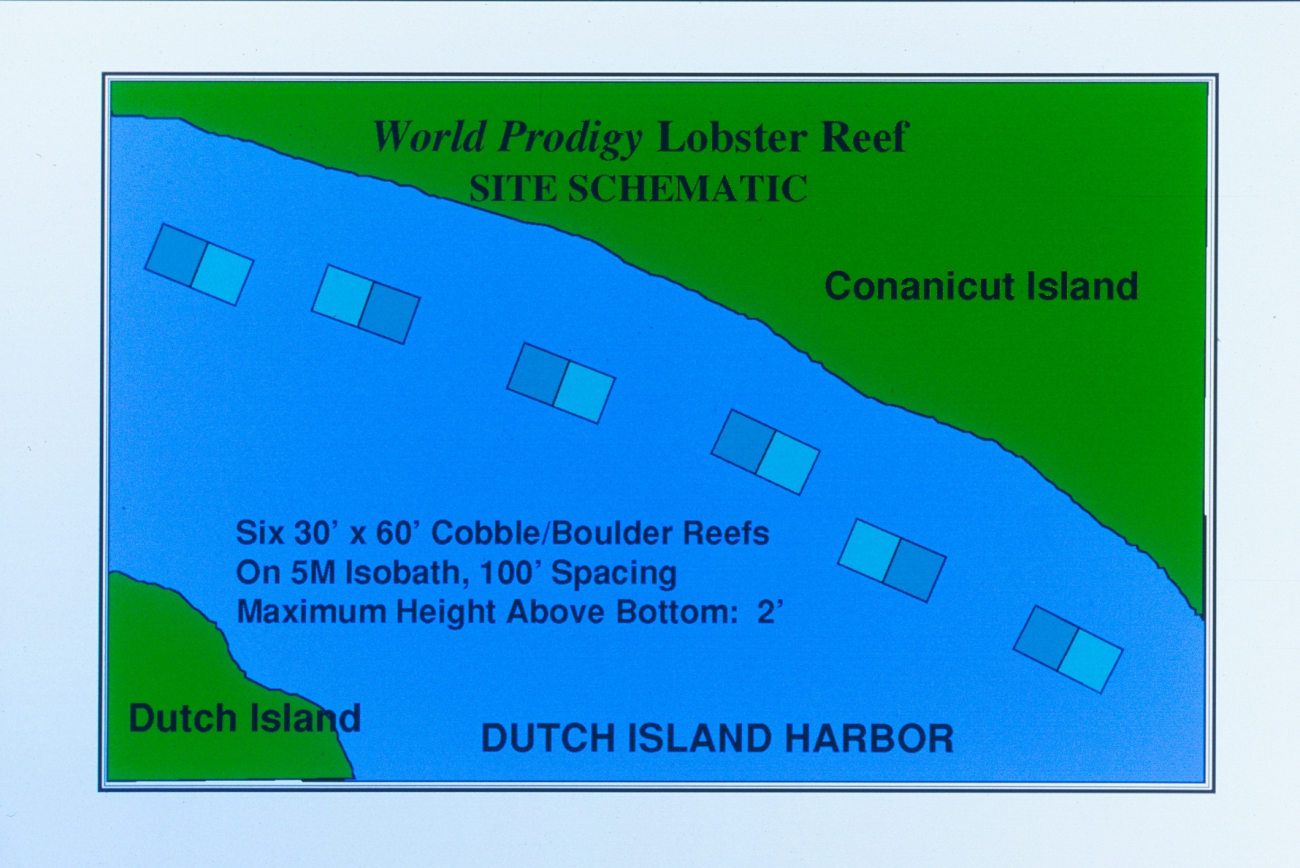 A site schematic showing the sites where cobble reefs were constructed andplaced in Dutch Harbor, Narragansett Bay, RI
