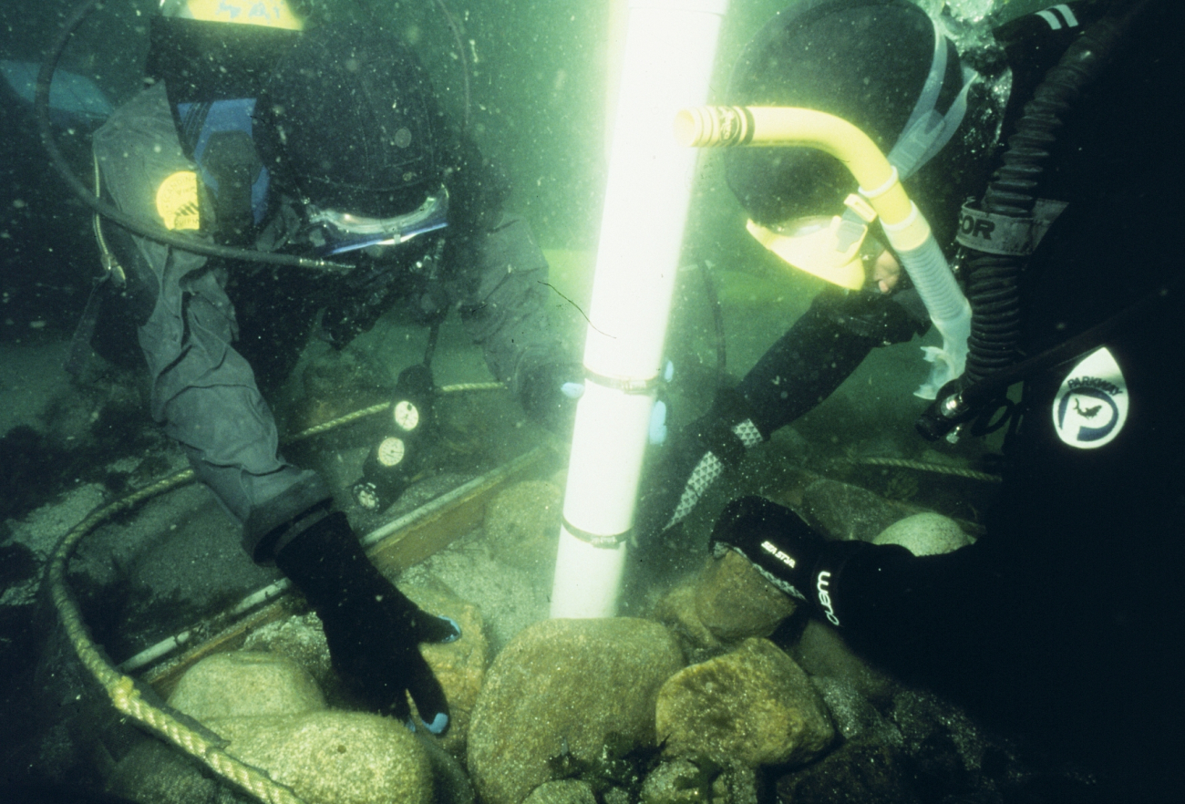 A suction sampling technique is used to determine settlement of lobsterson the reefs