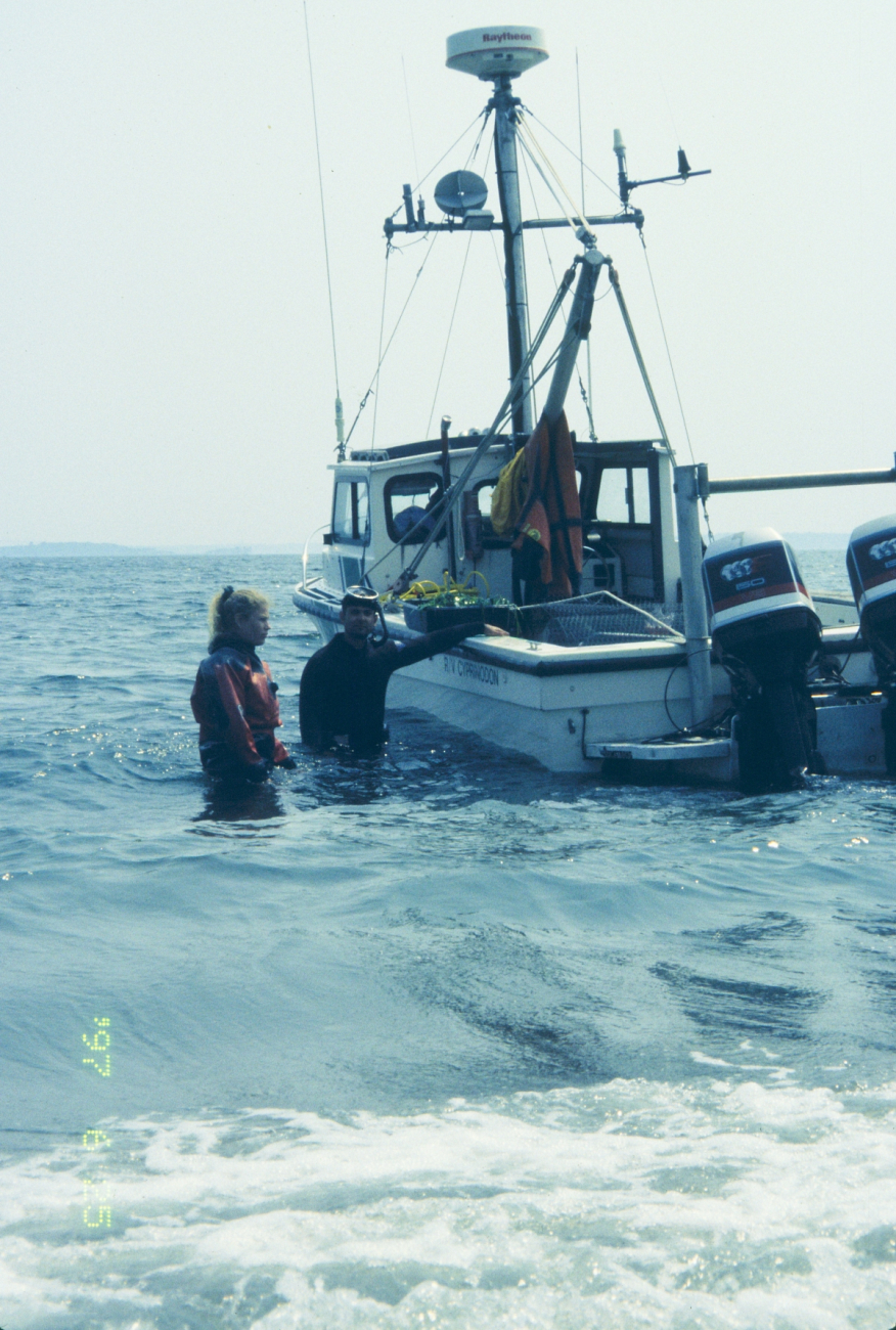 A RI EPA vessel was donated for the 1997 transplant operation