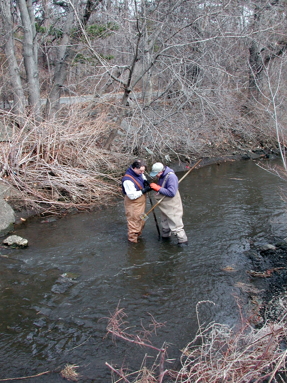 State biologists Brad Chase and Mike Armstrong search for smelt eggs