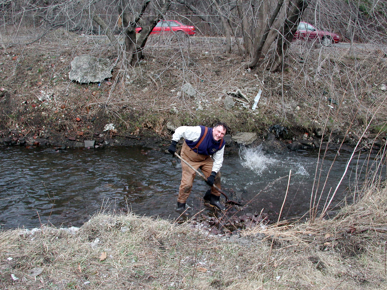 Mike Armstrong, Massachusetts Department of Marine Fisheries,pitches in at the restoration site