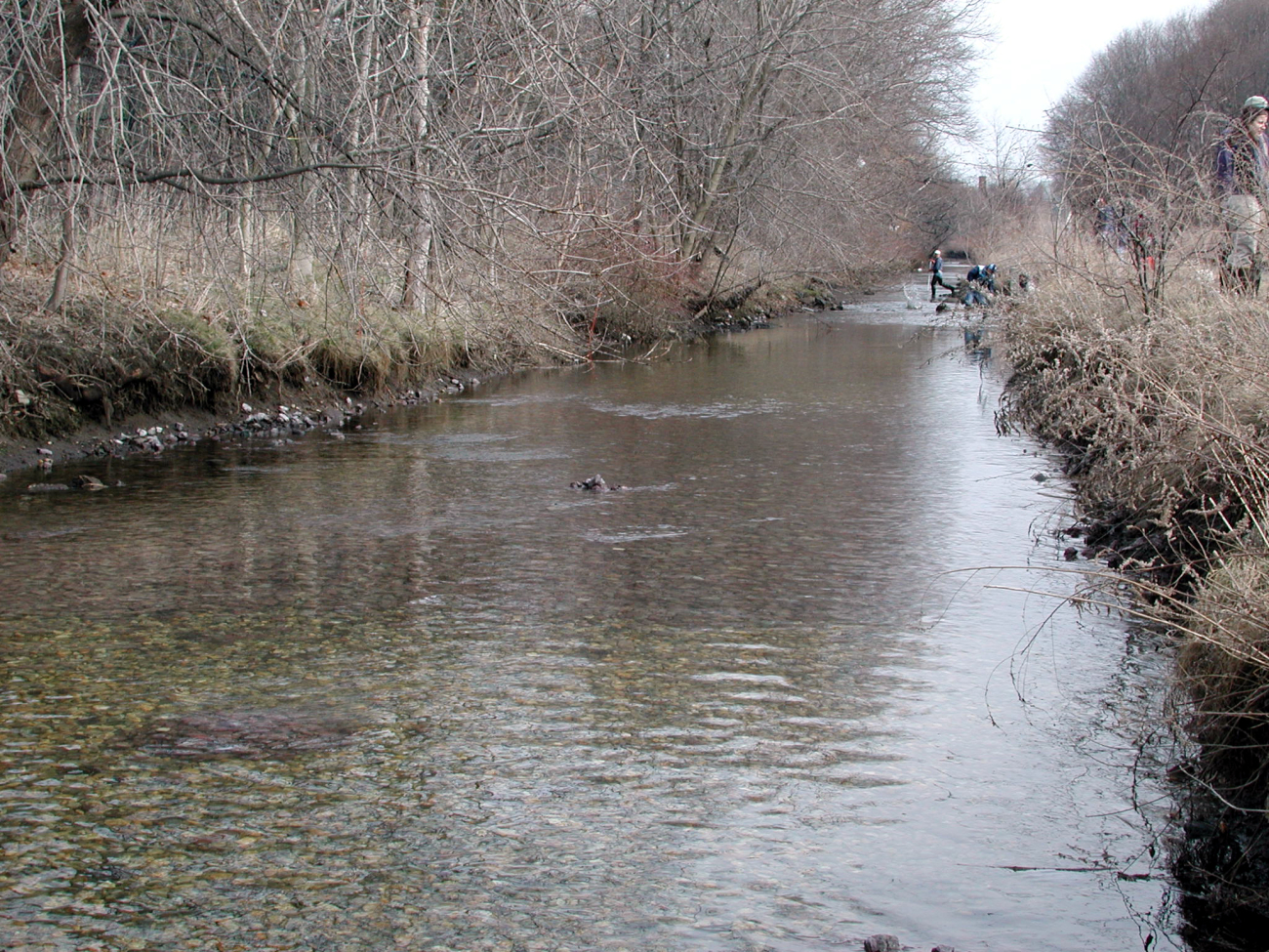 Looking downstream, note the new light colored rocks on the bottom