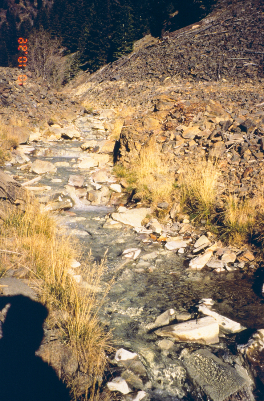 Blackbird Creek, at the mine site