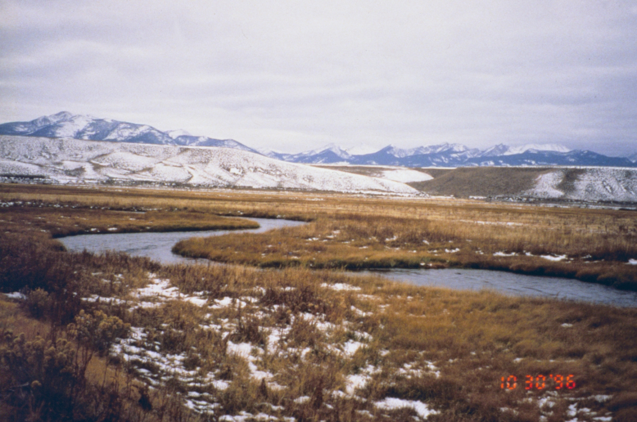Big Spring Creek on Little Eightmile Ranch, two miles of the creek werefenced to exclude livestock and protect the riparian habitat