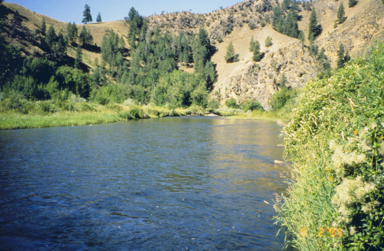 An image of the lower section of Panther Creek