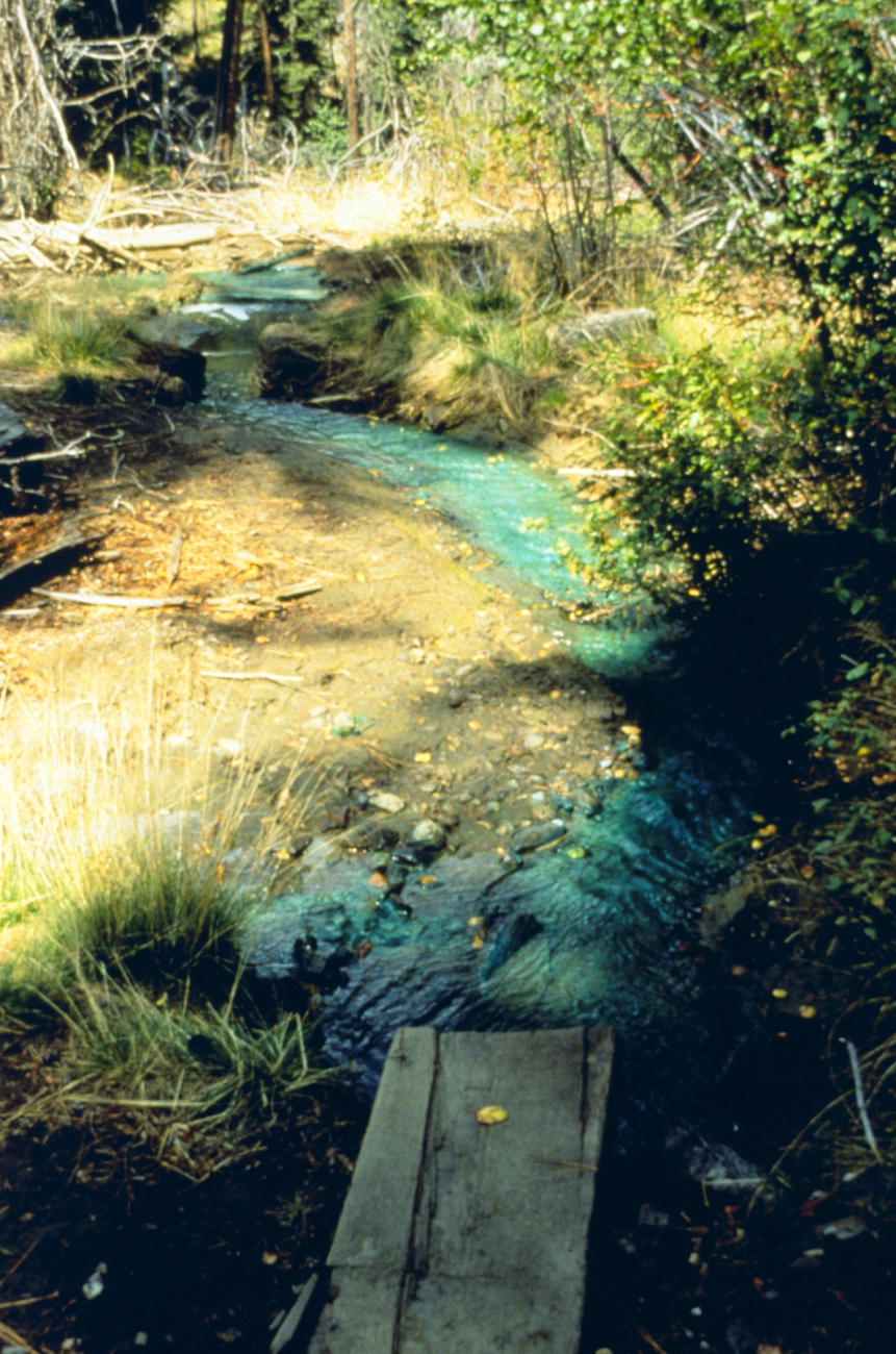The distinct blue in this image is caused by copper contamination, BucktailCreek