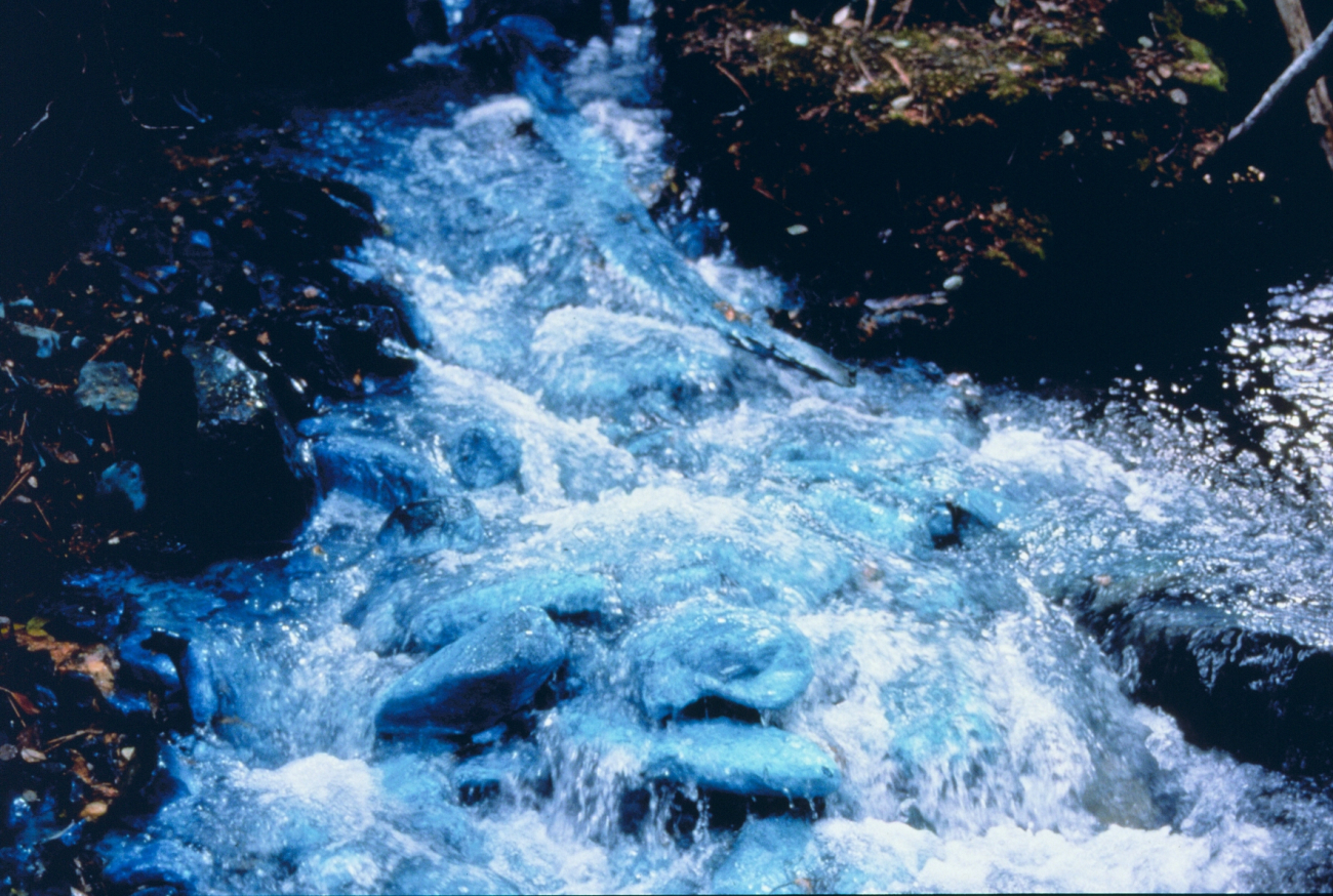 Blue copper precipitate in Bucktail Creek