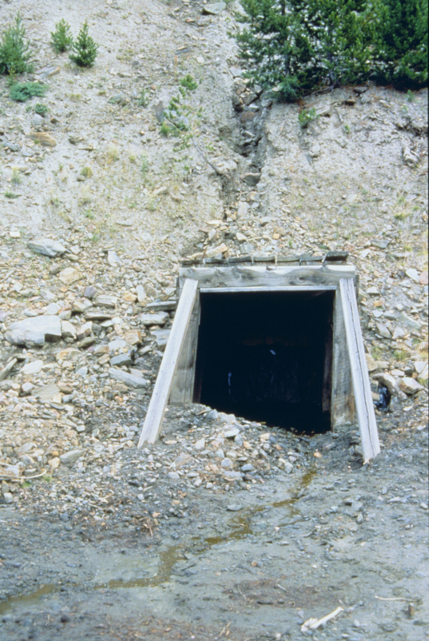 An adit or mine opening at Blackbird Mine