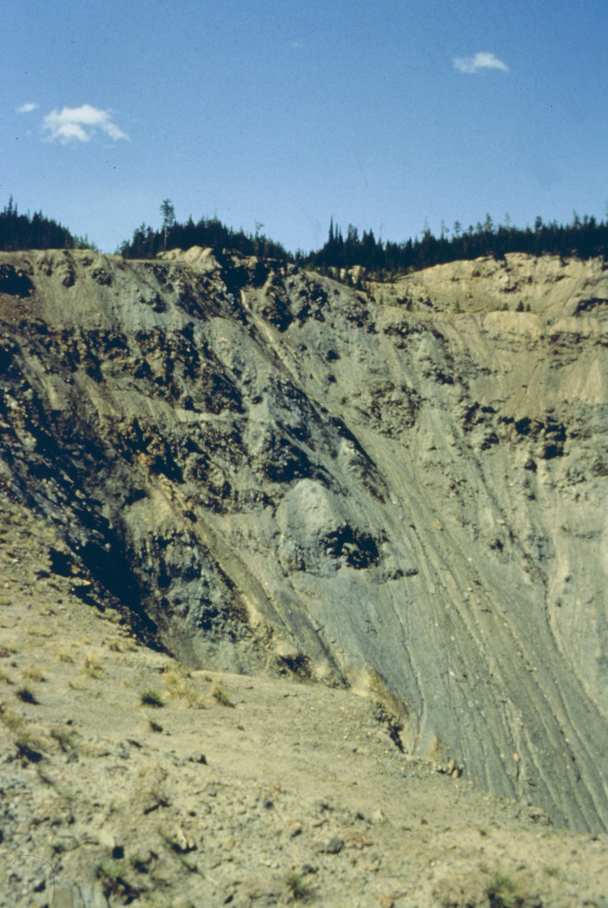 Contaminated waste rock at Blackbird Mine