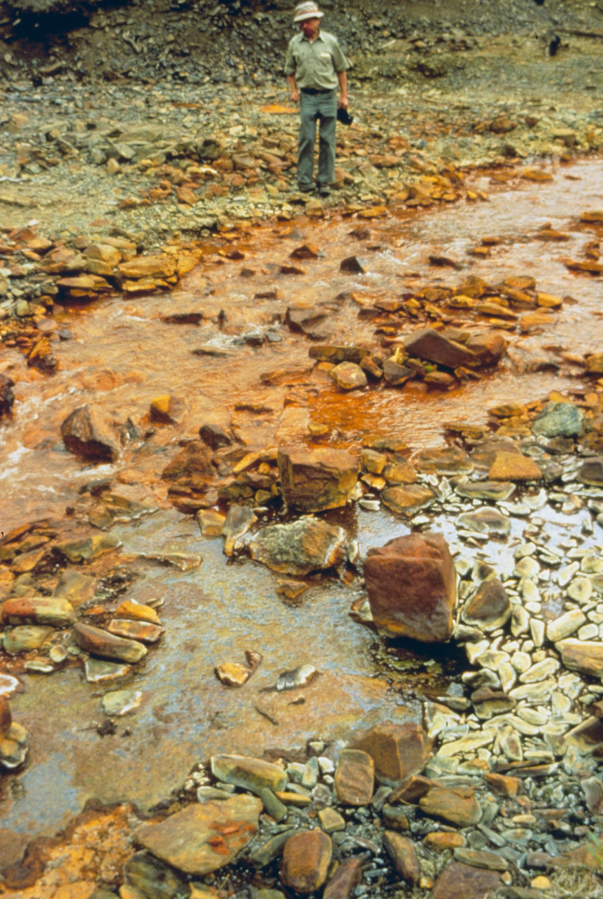 Blackbird Creek, iron contamination shows in the stream