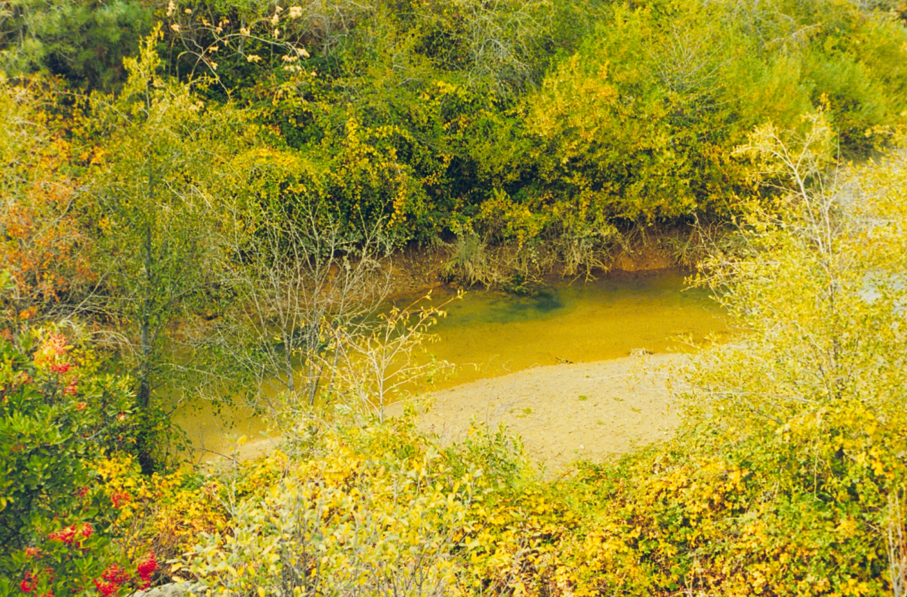 Flat Creek at Keswick Reservoir near Redding, CA