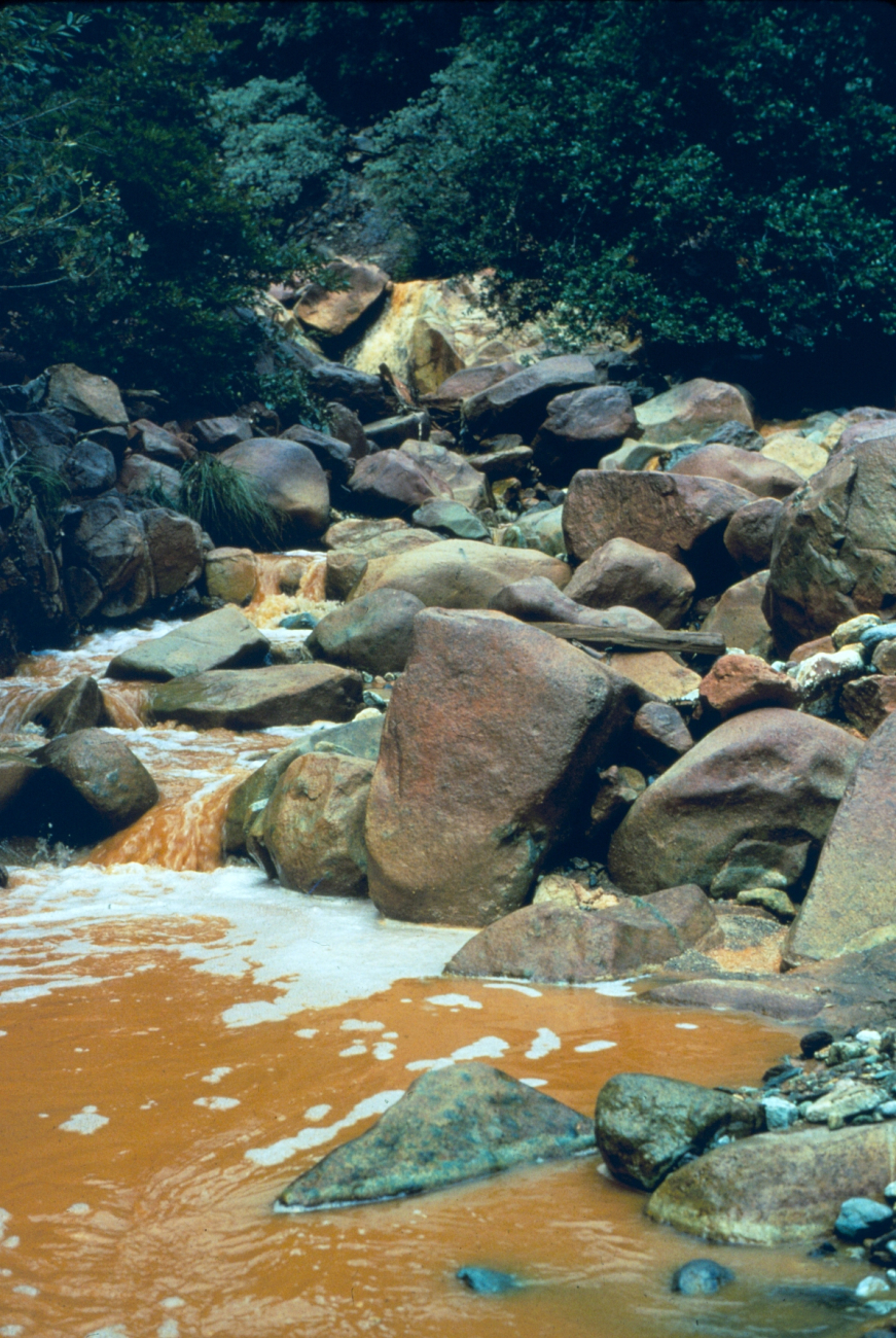 Spring Creek below Iron Mountain Mine